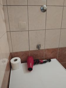 a bathroom with a toilet and a roll of toilet paper at Pansion Panorama Dubrovnik's Most Beatiful Sea View in Dubrovnik +109 photos