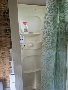 a room with a refrigerator with a shower curtain at La petite caravane de Vallye in Maxent +4 photos