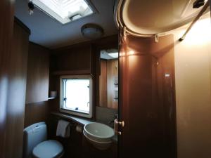 a bathroom with a sink and a toilet and a window at Cara Cabin Self Catering Tiny Home in Wexford +20 photos