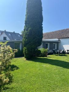 a large tree in the yard of a house at ZurAlten Bank Fewo 4 in Altenkirchen