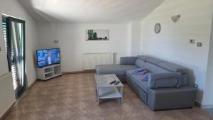 a living room with a couch and a tv at Apartments Nena 3* in Ližnjan