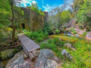a wooden bench sitting on top of a river at Stone House - Waterfalls, Nature Stay in Louriçal do Campo