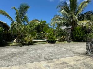 a yard with two palm trees and a building at Villa oasis des laves in Sainte-Rose