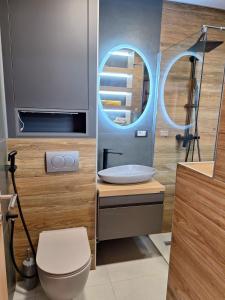 a bathroom with a sink and a toilet and a mirror at Golubac Bay Apartment in Golubac +19 photos