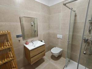a bathroom with a toilet sink and a shower at Apartmány Promenáda in Trutnov +27 photos