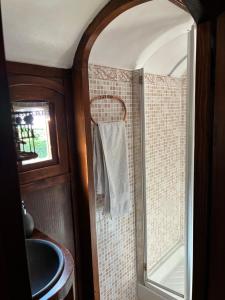 a bathroom with a shower and a sink and a mirror at Idyllic Roulotte in Les Assions +19 photos