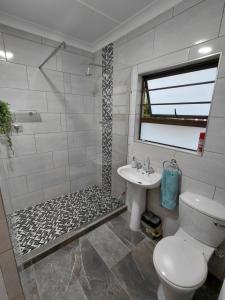 a bathroom with a shower and a toilet and a sink at GOOSE Nest in Gonubie