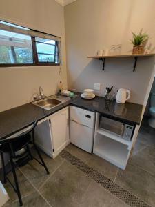 a small kitchen with a sink and a counter at GOOSE Nest in Gonubie