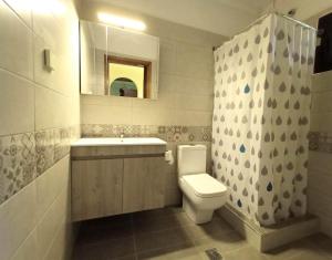 a bathroom with a toilet and a sink and a mirror at NEFELI House in Lefkimmi +64 photos