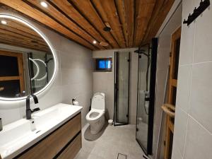 a bathroom with a toilet and a sink and a shower at Vacation home 'Örtsylä A' in Salla +19 photos