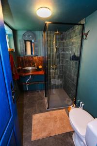 a bathroom with a shower with a toilet and a sink at Cabana Vatra Plaiului in Şarul Dornei