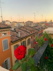 a red rose on a balcony with buildings at Domus Pioppa in Modena