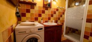 a small bathroom with a washing machine and a sink at Clos du Veyrier in Bédoin