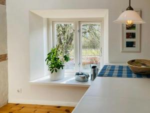 a kitchen with a window and a potted plant at Apartment In A Converted 1875 Creamery in Travenhorst +29 photos