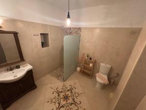 ein Badezimmer mit Dusche, Waschbecken und Toilette in der Unterkunft Castle Rizaraki in Kokkala + 74 Fotos