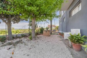 a yard with a tree and a building at Casa Francisco y Carmen in Alfarrás
