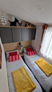 a bedroom with two beds and a cat on a shelf at Devon holiday in Goodrington
