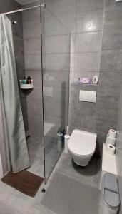 a bathroom with a toilet and a glass shower at My Life 20 - Green Hill in Soko Banja +4 photos