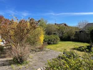ein Garten mit Bäumen und Sträuchern in einem Hof in der Unterkunft Martens studio in Malmö