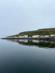a group of camels parked next to a body of water at Summerhouse by the ocean in Drangsnes +2 photos