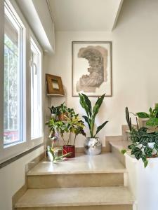 a bunch of plants are sitting on the stairs at B&B La stanza del sole in Modena +5 photos