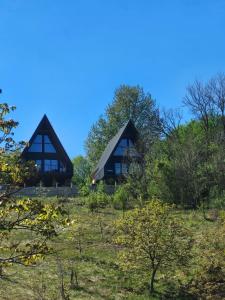 two thatched cottages on a hill with trees at Meziad-Panorama in Meziad