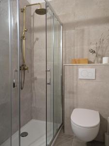 a bathroom with a toilet and a glass shower at Villa Salesiae in Les Salles-sur-Verdon