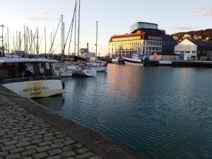 a group of boats are docked in a harbor at maison entière in Fécamp +11 photos