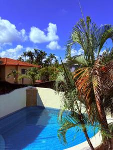 a swimming pool with a palm tree next to a house at CASA Angelo in Sosúa