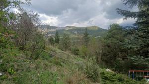 a view of a forest with mountains in the background at Chambre d'hôte la palud in Barrême