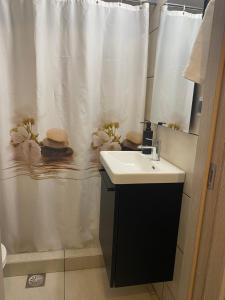 a bathroom with a sink and a shower curtain at Unique Centro Apartment in Kilkis +10 photos