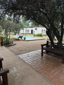 a park bench sitting under a tree next to a pool at Casa María - Sanagasta in Villa Bustos