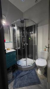 a bathroom with a shower and a toilet at T1 duplex centre Argeles Gazost in Argelès-Gazost