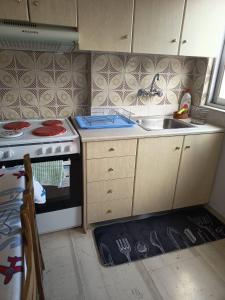 a small kitchen with a stove and a sink at Sroom Karditsa in Karditsa