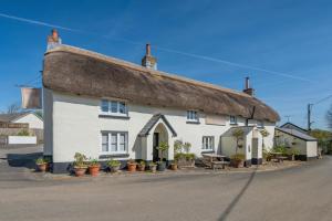 a thatched cottage with potted plants in front of it at 4 Bed in Bideford oc-76452 in Parkham