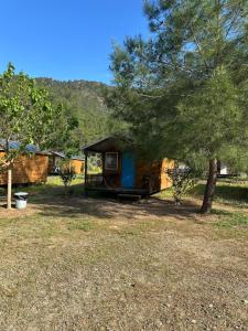a small cabin with a blue door and a tree at Adrasan Camping in Kumluca +19 photos
