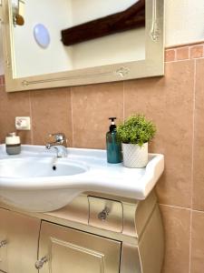 a bathroom sink with a mirror and a potted plant at A 5 min da Bassano Camera con Bagno Privato e Area Fitness in Bassano del Grappa