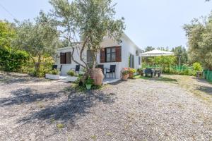 a small white house with a tree in the yard at Stella's Olive Tree House in Adelianos Kampos