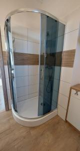 a shower with a glass door in a room at Apartmány LENKA in Mikulášovice