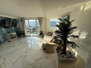 a man laying on a couch in a living room with a palm tree at Mirante Piratininga - Casa 2 quartos - Vista Panorâmica Lagoa e Praia in Niterói