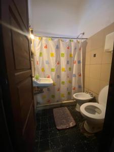a bathroom with a toilet and a sink and a shower curtain at Estrella Vladimir Hostel in Capilla del Monte