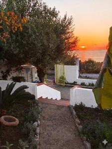 a sunset over the ocean with a white fence and a tree at La casita in Capo Vaticano +8 photos
