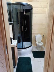 a bathroom with a shower and a toilet and a sink at Sosnowy Oddech in Samsonów +19 photos