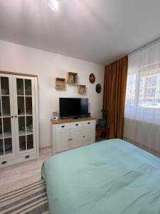 ein Schlafzimmer mit Bett und Flachbildfernseher in der Unterkunft Mary's Studio in Ipoteşti