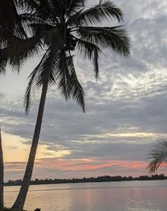 two palm trees in front of a body of water at Club Fred in Punta Mala