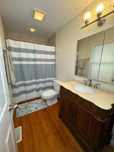 a bathroom with a sink and a toilet and a shower at Serenity Cove in Hiawassee +6 photos