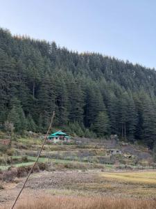 a house in the middle of a field with a forest at Sukun Hostel in Sainj