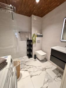 a bathroom with a toilet and a sink at Veriora külaliskorter in Veriora
