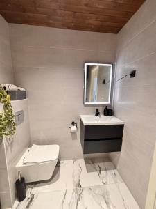 a bathroom with a toilet and a sink and a mirror at Veriora külaliskorter in Veriora