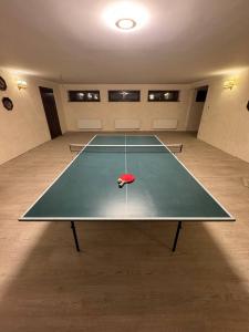 a ping pong court with a red ball on it at Castle Apartments in Schaslyve